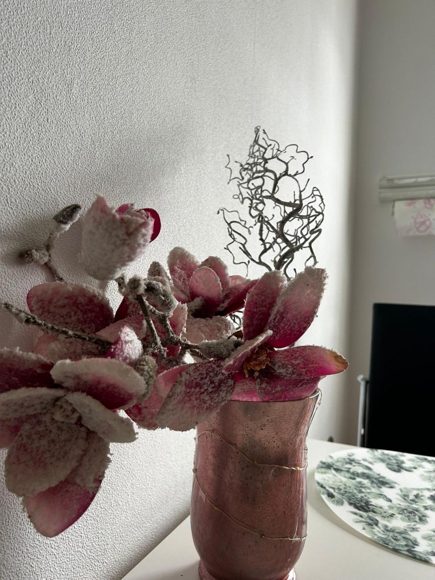Gemuetliche Ferienwohnung-Appartement Bad Oeynhausen Εξωτερικό φωτογραφία